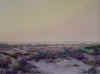 Cactus.jpg (29159 bytes)